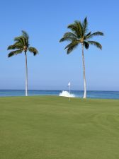 Waikoloa Beach (Beach) 6th Vertical Trees